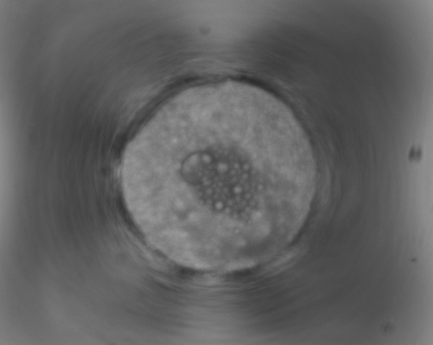 X0000115200624200911251444