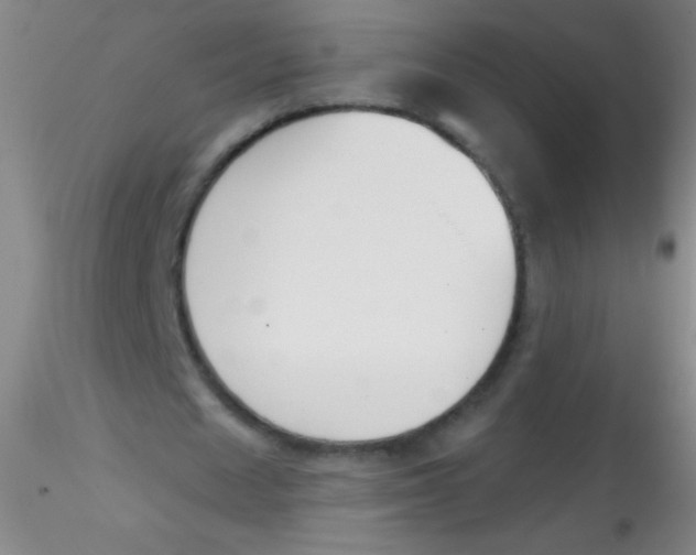 X0000115200625200911251444