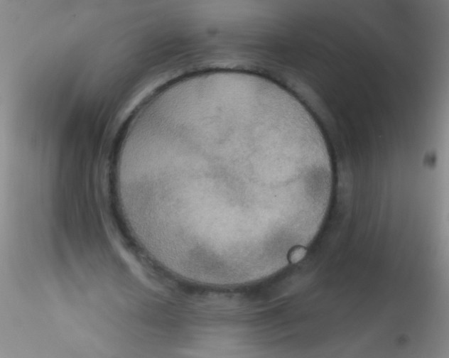 X0000115200626200911251444