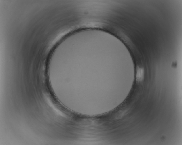 X0000115200627200911251444
