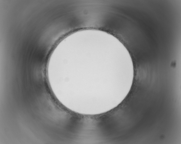 X0000115200632200911251444