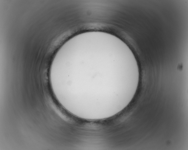 X0000115200633200911251444