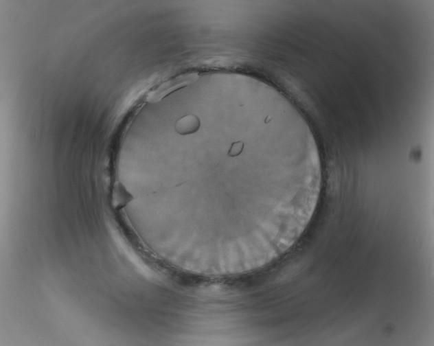 X0000115200634200911251444