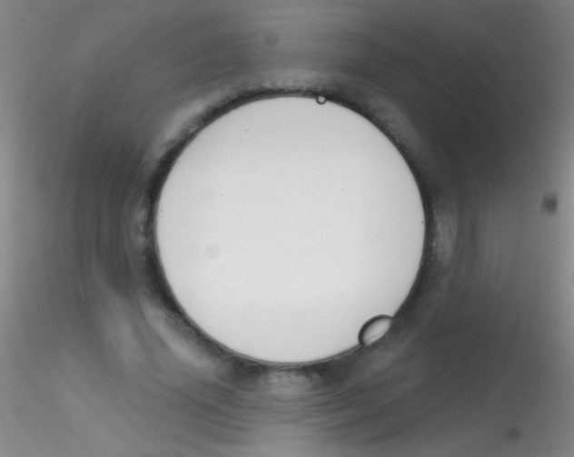 X0000115200636200911251444