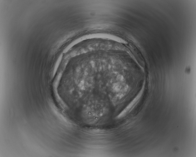 X0000115200637200911251444