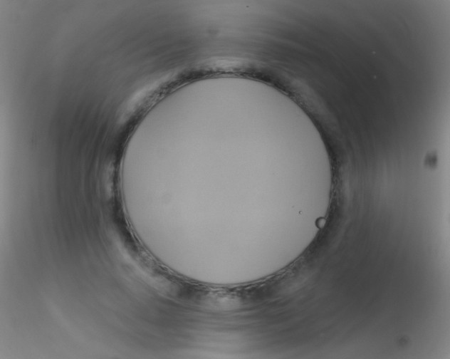 X0000115200640200911251444
