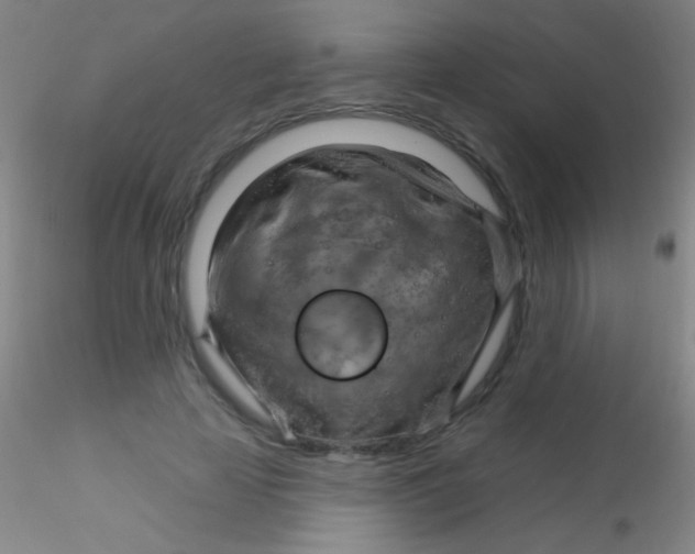 X0000115200641200911251444