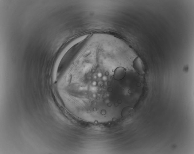 X0000115200642200911251444