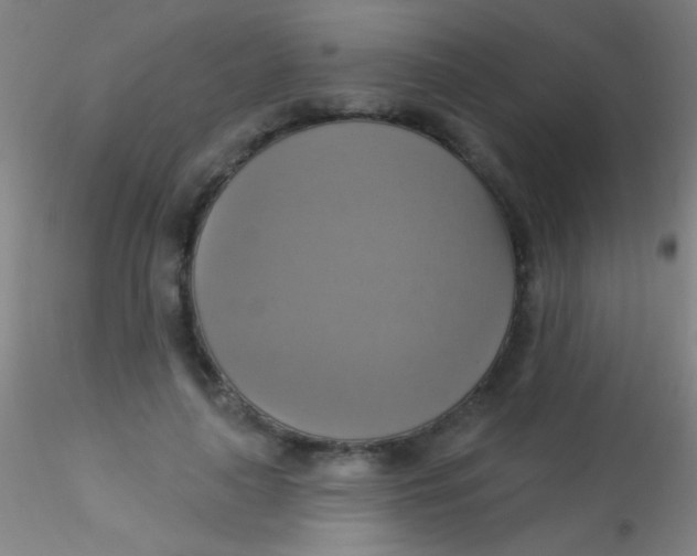 X0000115200643200911251444