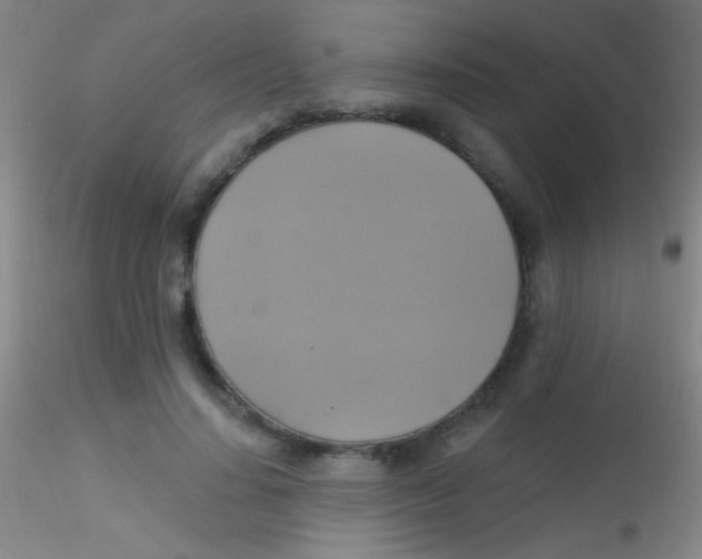 X0000115200644200911251444
