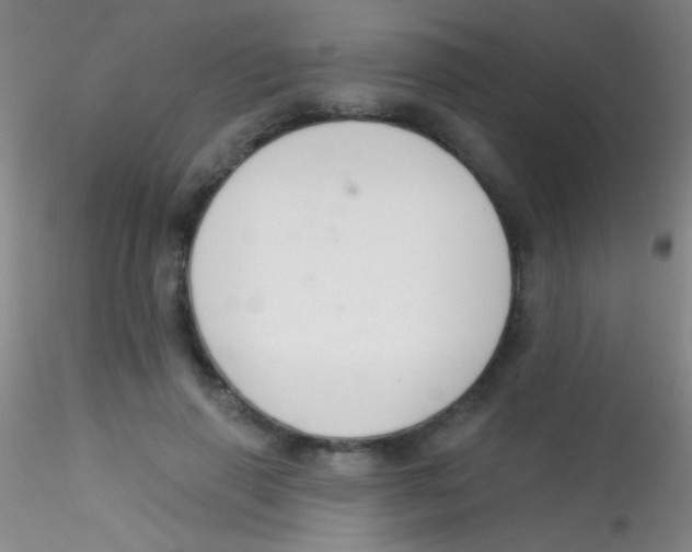 X0000115200645200911251444