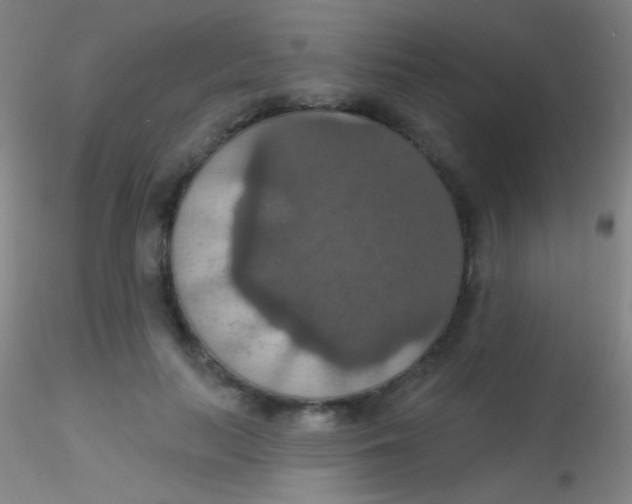 X0000115200647200911251444