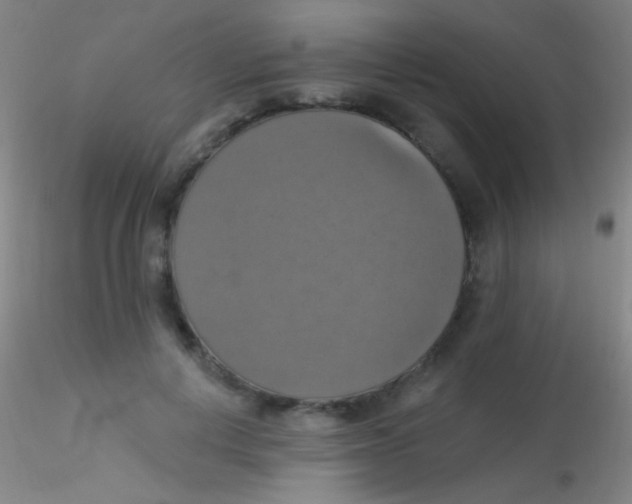 X0000115200648200911251444
