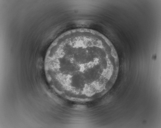X0000115200649200911251444