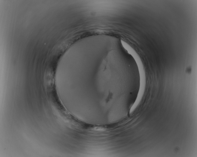 X0000115200651200911251444