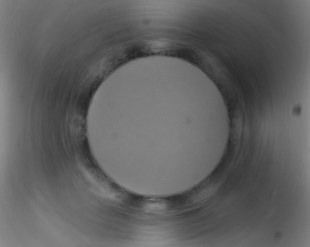 X0000115200653200911251444