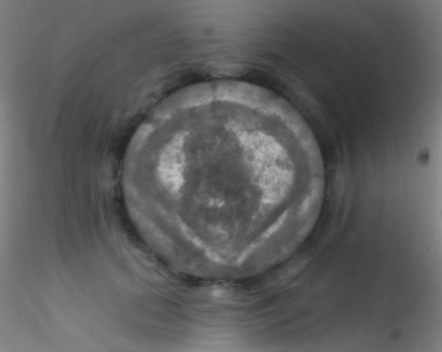 X0000115200655200911251444