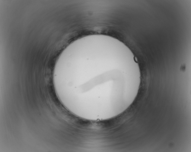 X0000115200656200911251444