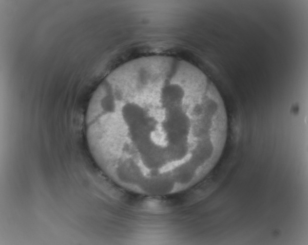 X0000115200657200911251444