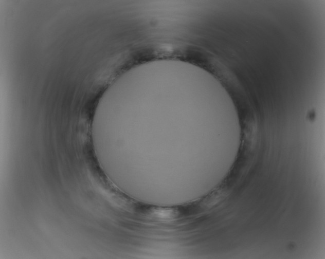 X0000115200659200911251444