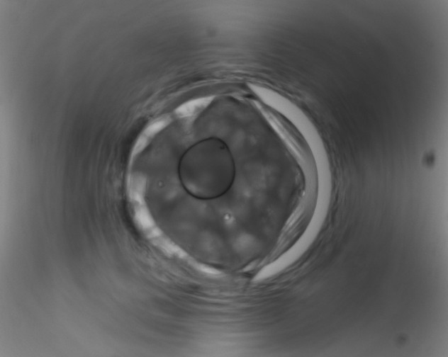 X0000115200661200911251444