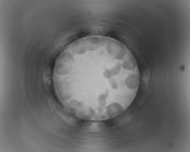 X0000115200663200911251444