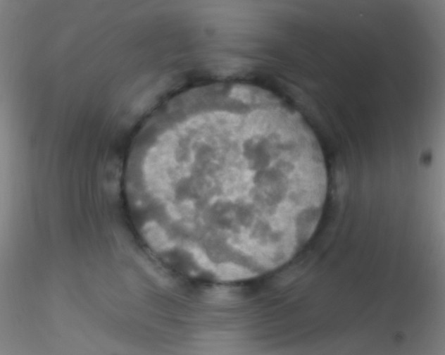 X0000115200664200911251444