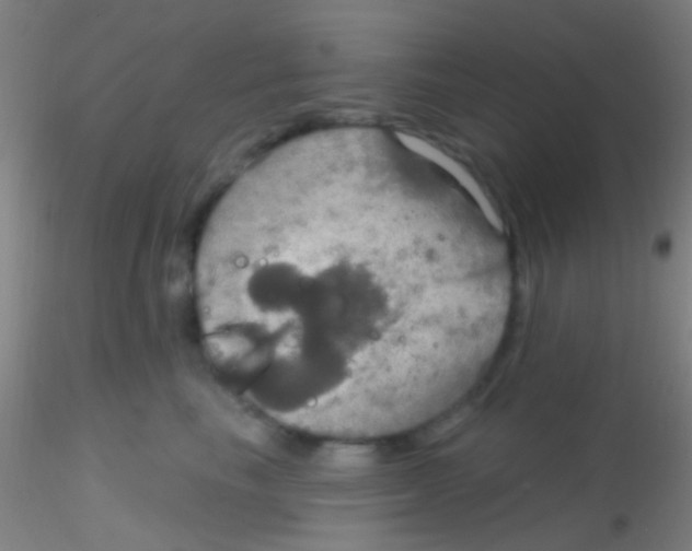X0000115200665200911251444