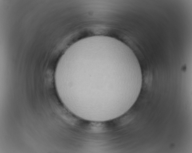 X0000115200667200911251444
