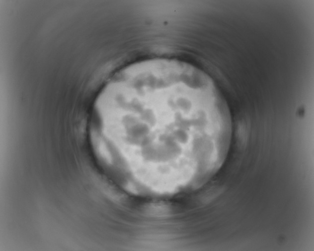 X0000115200668200911251444