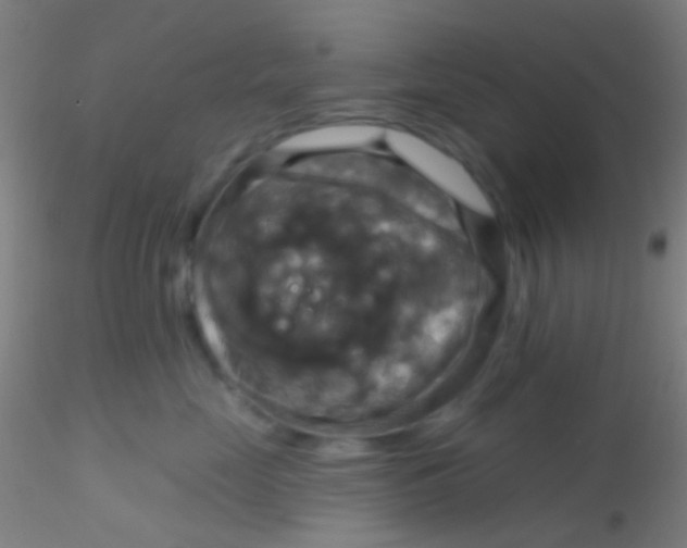 X0000115200669200911251444