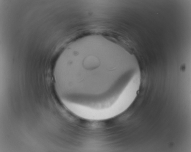 X0000115200670200911251444