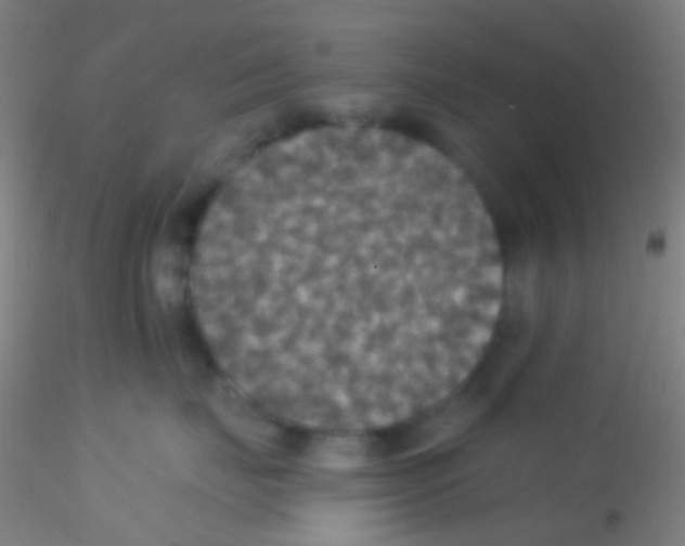 X0000115200671200911251444