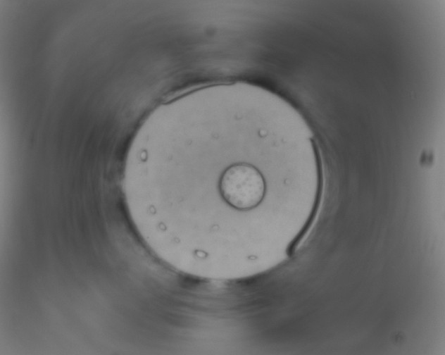 X0000115200672200911251444