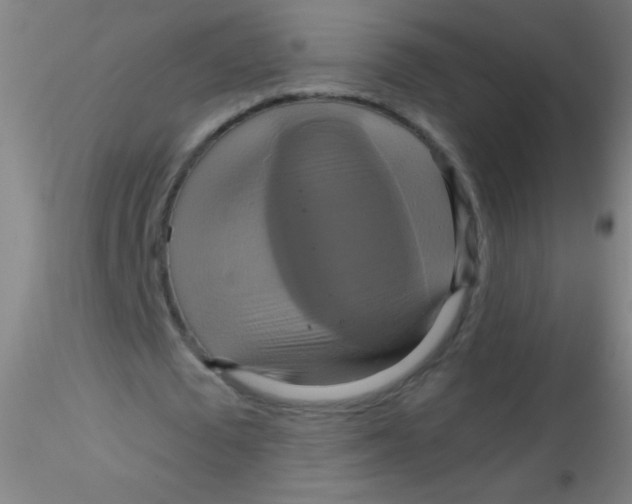 X0000115200673200911251444