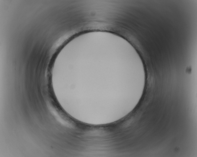 X0000115200674200911251443