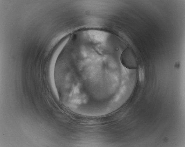 X0000115200675200911251443