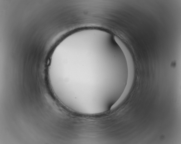 X0000115200676200911251443