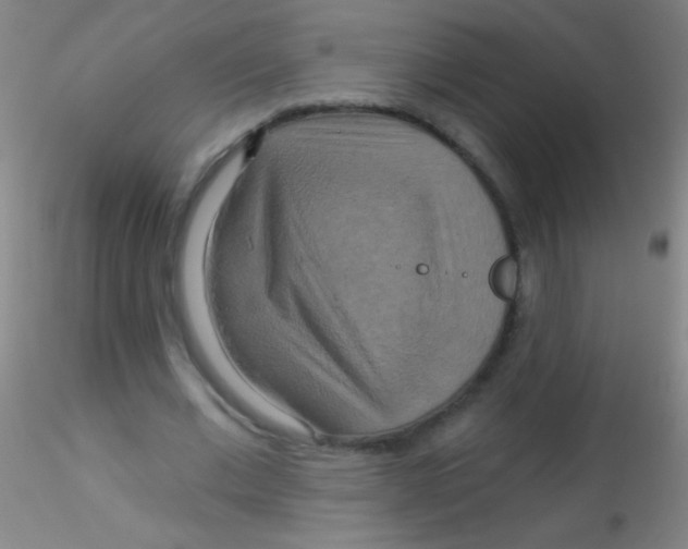 X0000115200677200911251443