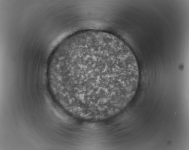 X0000115200679200911251443