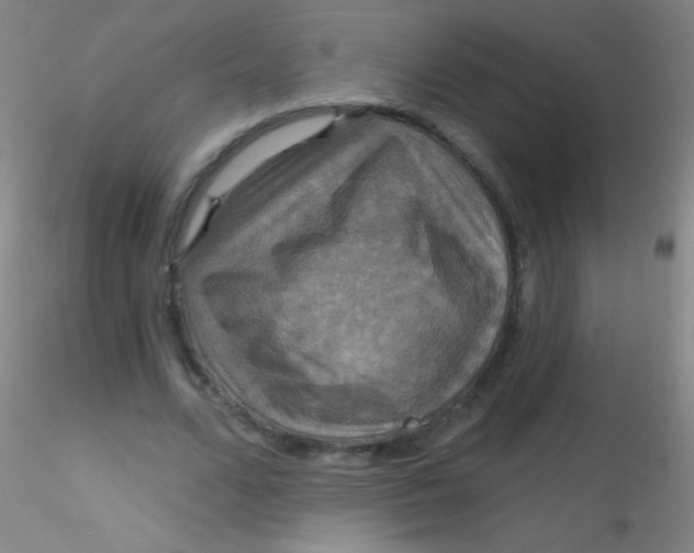 X0000115200680200911251443