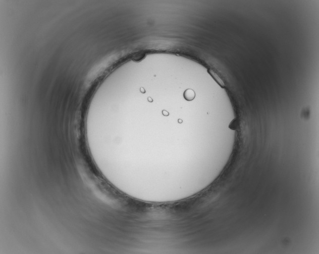 X0000115200682200911251443