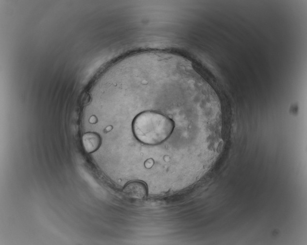 X0000115200683200911251443