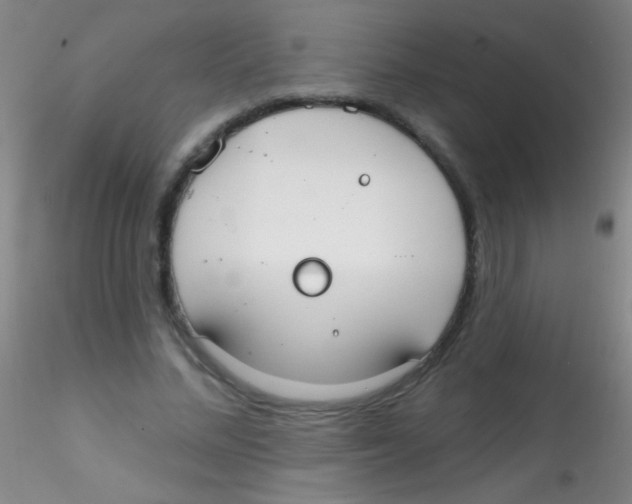 X0000115200684200911251443
