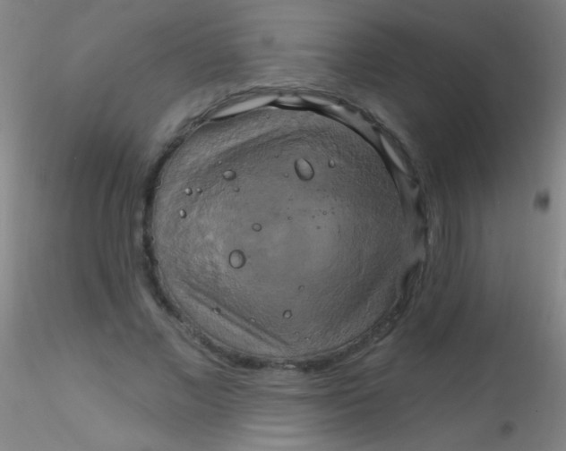 X0000115200685200911251443