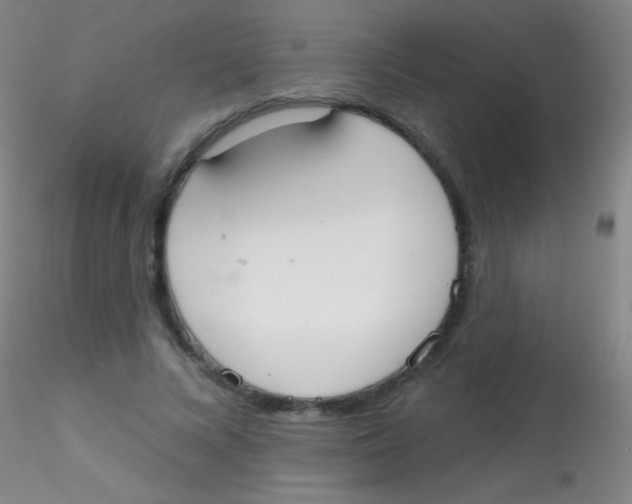 X0000115200688200911251443