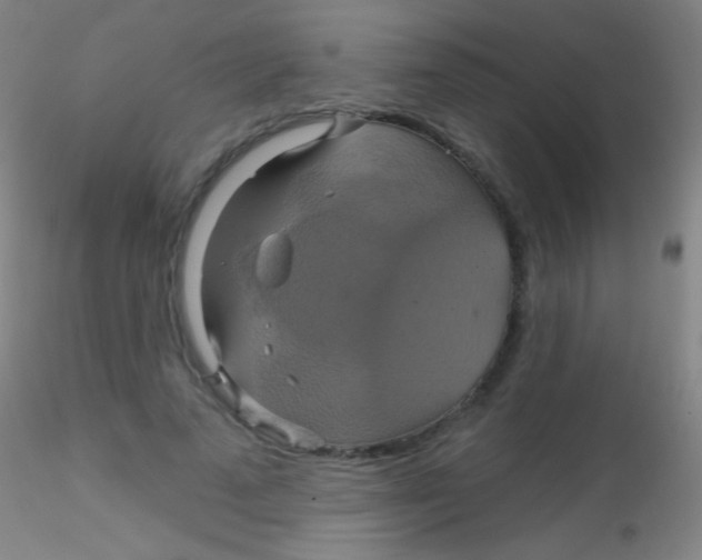 X0000115200689200911251443