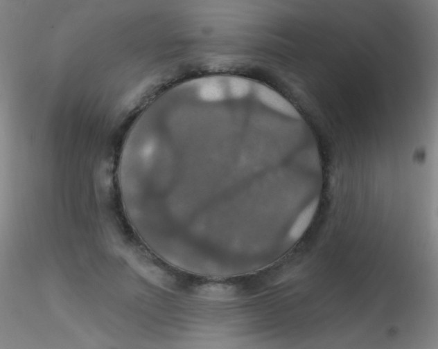 X0000115200691200911251443