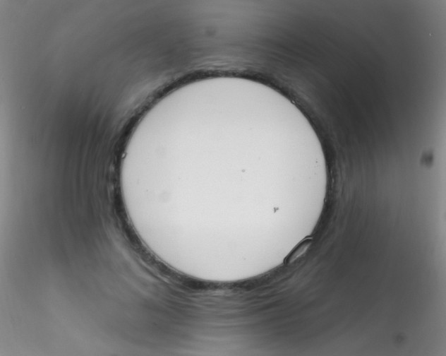 X0000115200692200911251443
