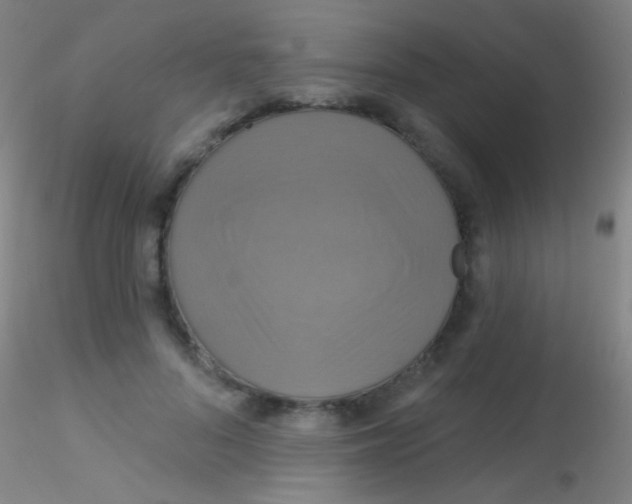 X0000115200696200911251443